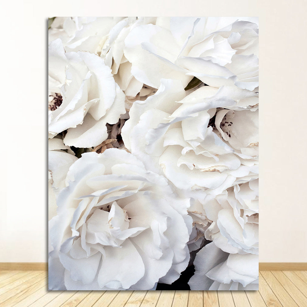 Peony Rose White Flowers Garden Nordic Posters And Prints Wall Pictures