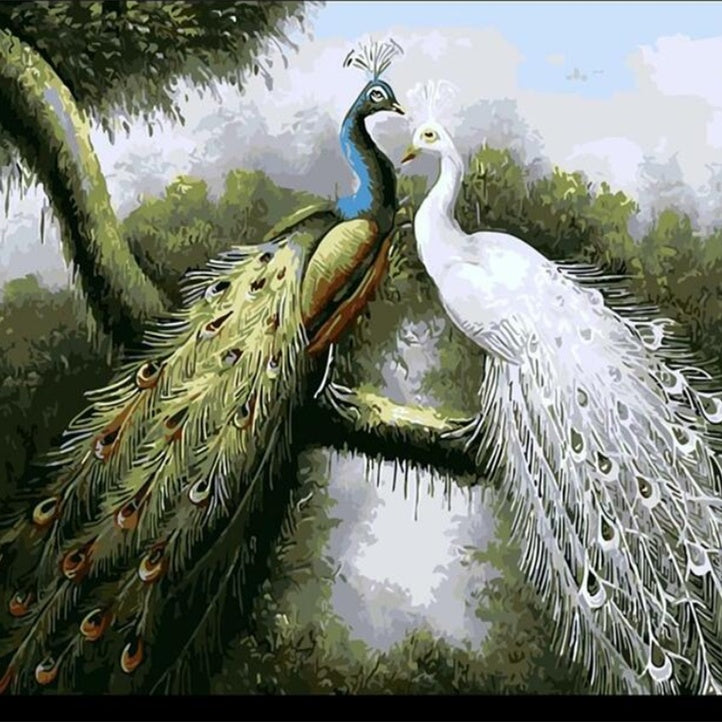 Digital Oil Painting Home Decoration Painting