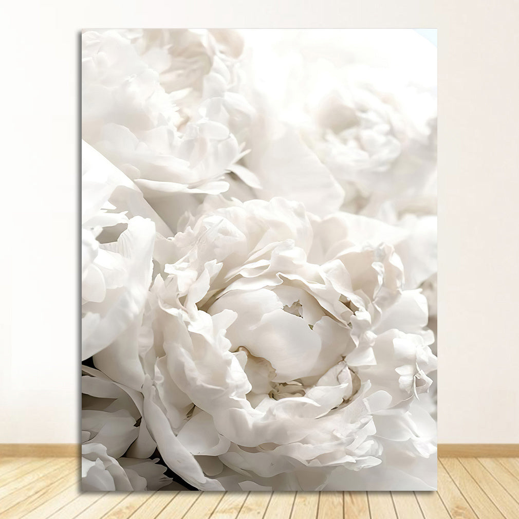 Peony Rose White Flowers Garden Nordic Posters And Prints Wall Pictures